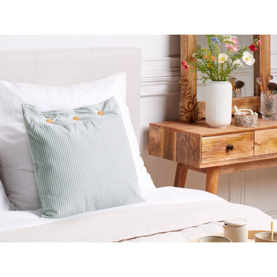 Radojica Striped Blue Cushion