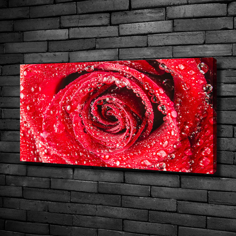 Water Drops On A Rose - No Frame Print on Canvas