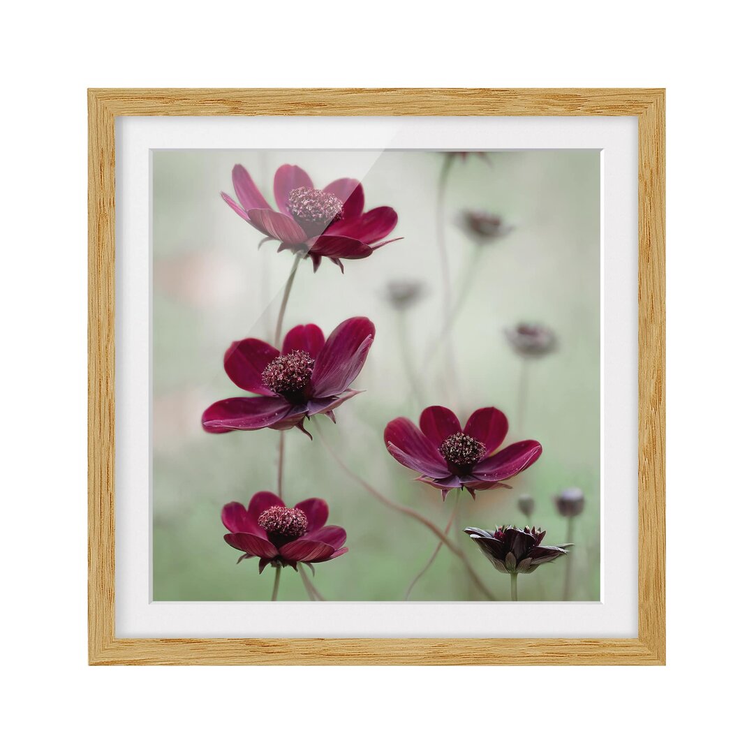 Gerahmtes Poster Pink Flowers