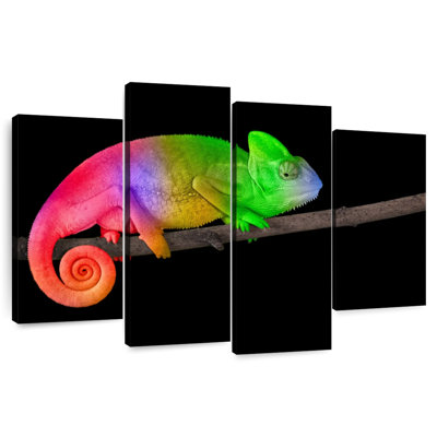 Rainbow Chameleon