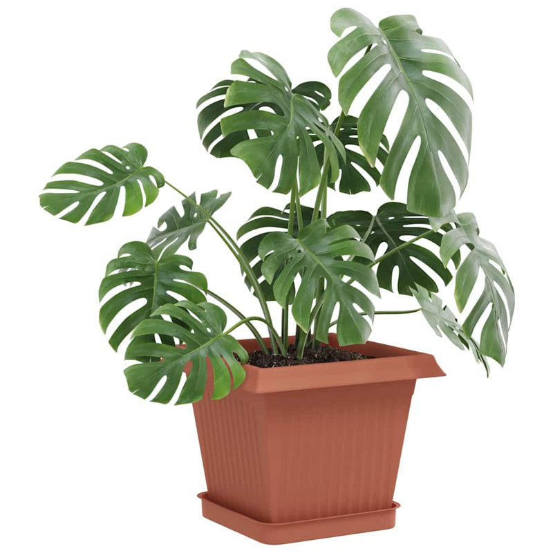 Plant Stand, 2cm H x 15cm W x 15cm D, Brick Red