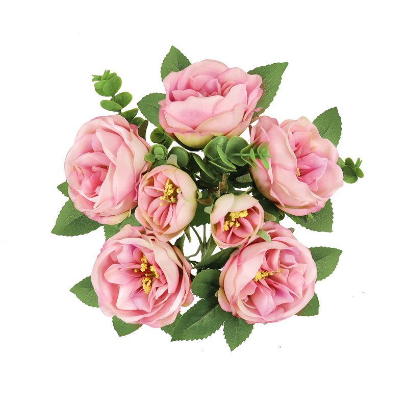 Arrangement de tiges de roses, de buissons et de jets, Rose