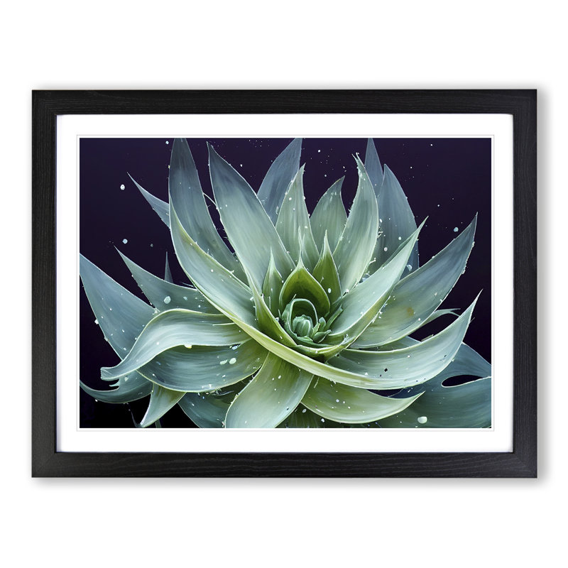 Electrifying Aloe Vera Plant - Single Picture Frame Painting, Black, 34cm H x 46cm W x 2cm D