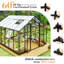 13.5" W x 12" D Hobby Greenhouse