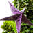 Paper Star Lantern-110273508