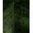 Huckstep One-of-a-Kind 6' 2" X 9' 1" Wool Area Rug Green