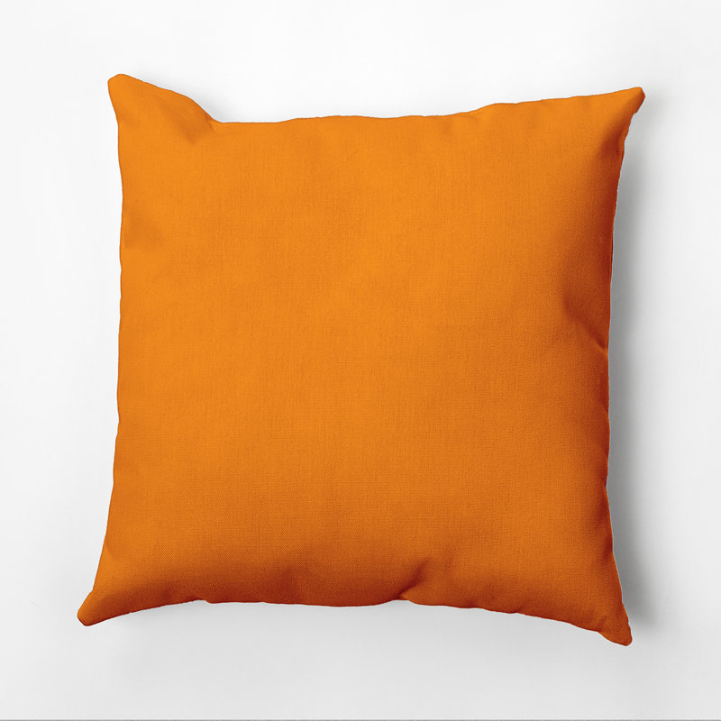 Housse de coussin Ajibola, Citrouille, 26 po x 26 po, Polyester/ bourre en polyester