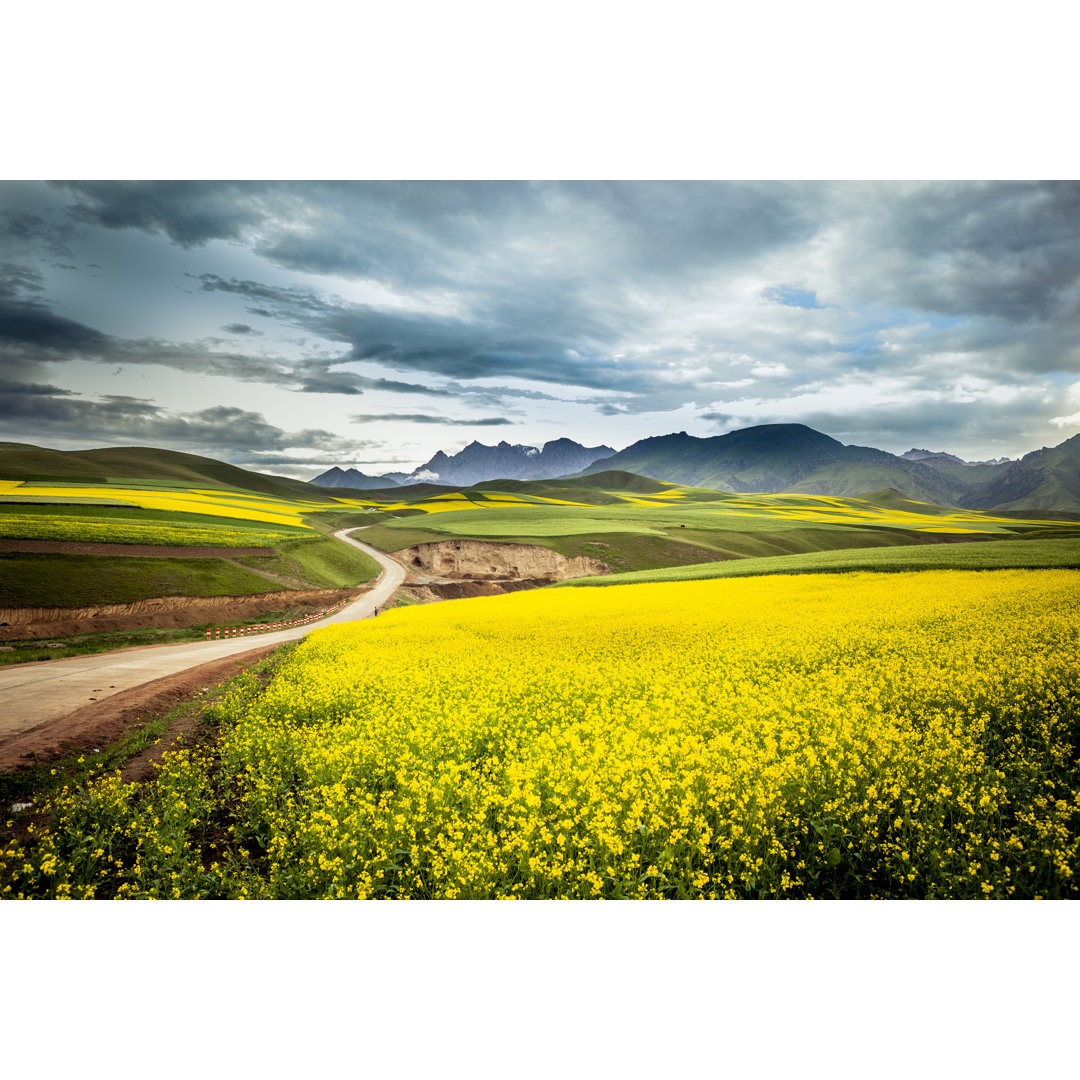 Canola Field von Chinaface - Kunstdrucke auf Leinwand