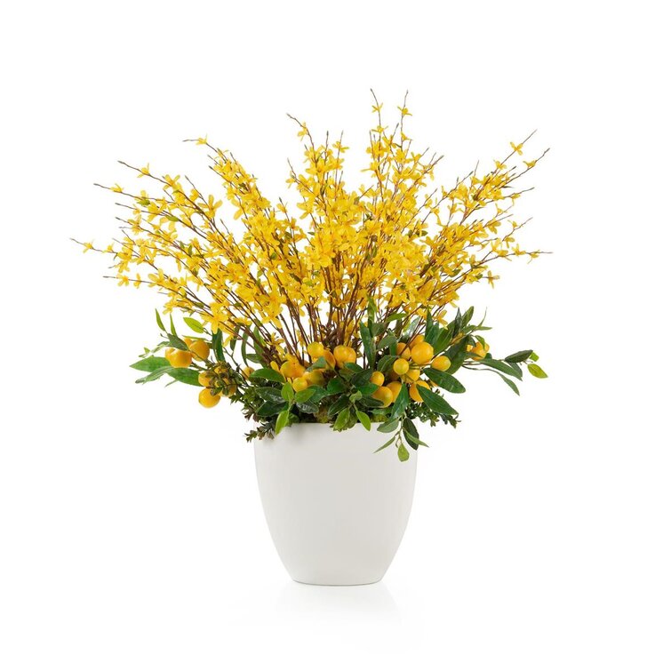 John-Richard Bursting Open Forsythia Centerpieces in Pot | Perigold