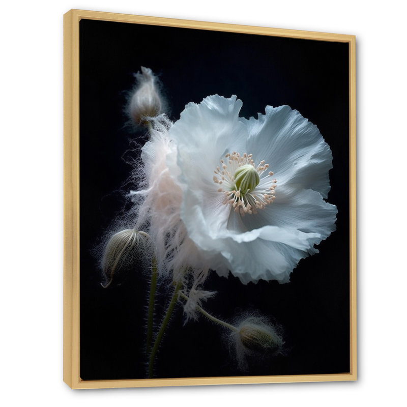 " Black And White Vibrant Poppies ", 20" H x 12" W x 1" D, Natural Floater Frame