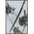 Couche de verre