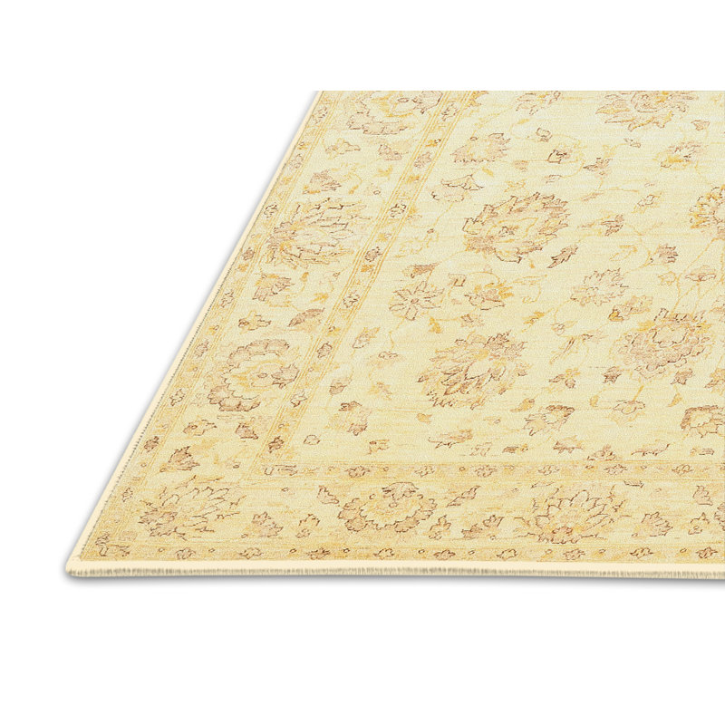 Mirjam Oriental Indoor Rug, Rectangle 2' x 5'