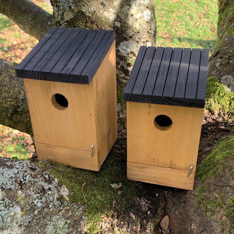 Traditional Wooden Mounted Bird House with Removable Bases