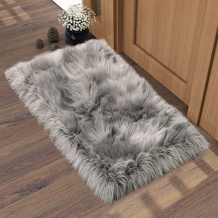 Indoor Rug