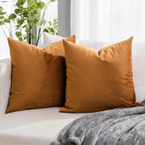 https://assets.wfcdn.com/im/03697454/resize-h210-w210%5Ecompr-r85/2361/236128513/Picotte+Velvet+Pillow+Cover+%28Set+of+2%29.jpg