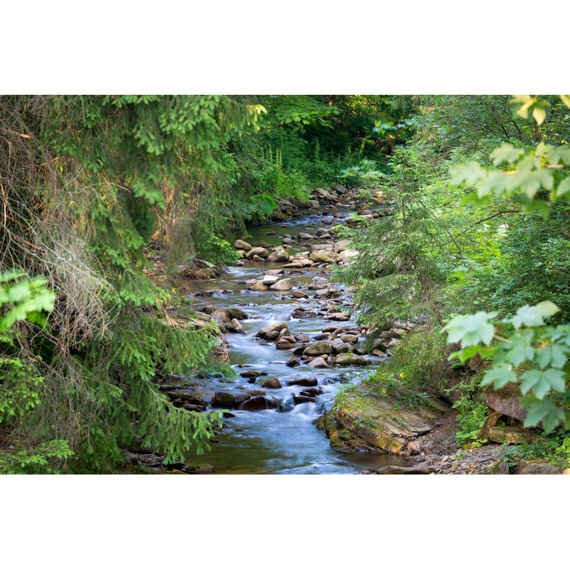 Mountain River in Wood - Photographie sur toile tendue, H 8 po x l 12 po