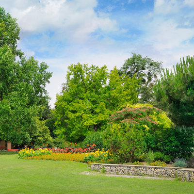 " Summer Park "