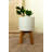 Carita Handmade Ceramic Pot Planter-125757188