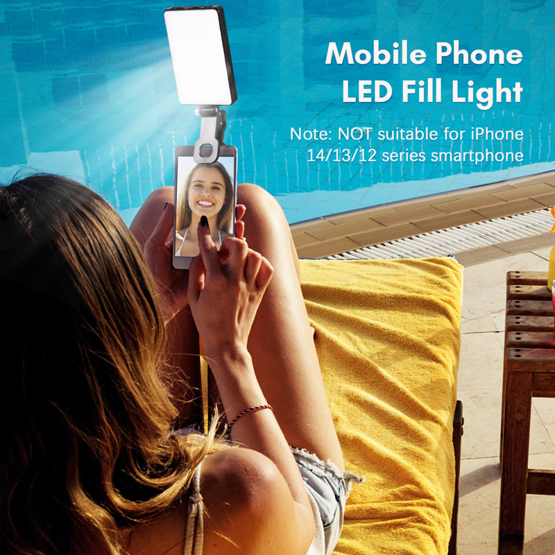 Plug-in Table Picture Light