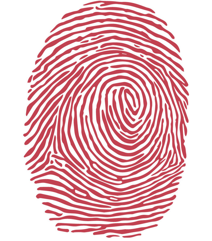 Décalcomanie murale à empreinte digitale, Rouge Dahlia, H 30 po x l 21 po x P 0,01 po