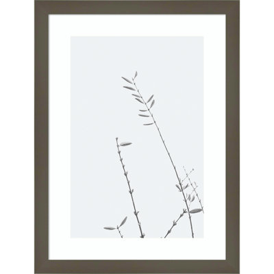Retro Tennessee Botanical No 3 Photo Print