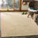 Joliet Performance Ikat Rug