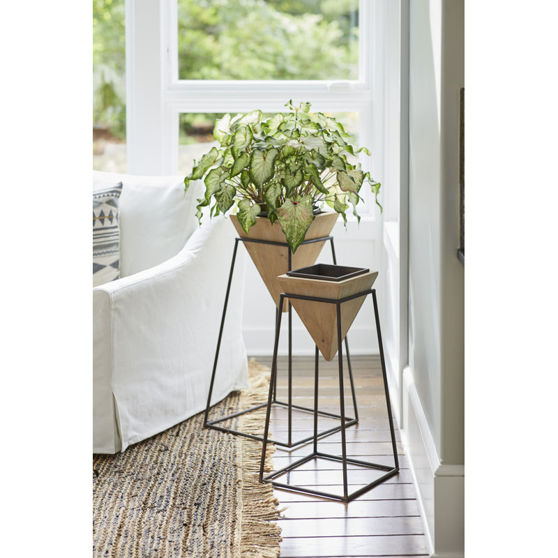 Cosimo Wood Pot Planter