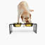 Acrylic Double Bowl Elevated Pet Feeder-393206233