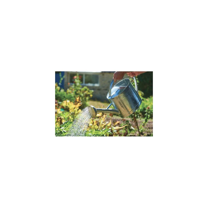 Highsmith Metal Watering Can