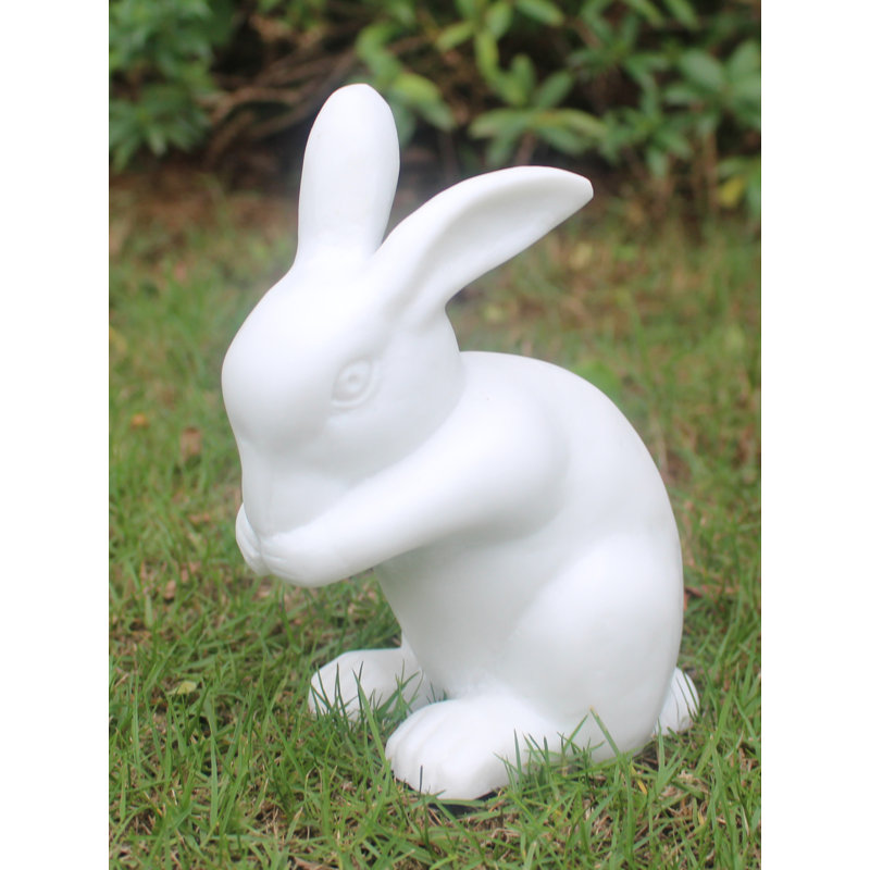 Daisy The Rabbit