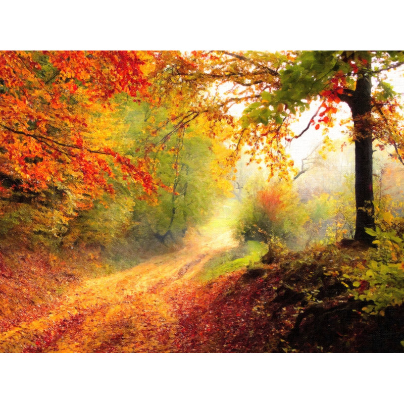 Autumn Forest Edge II Print by Denise Dundon, 17.25" H x 21.25" W