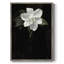 Impression florale vintage encadrée Cxx - bois massif-1840942321