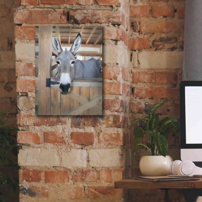 «Curious Donkey» par Lori Deiter, art mural sur toile, H 16 po x l 12 po x P 0,75 po