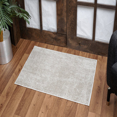 2 Ft. X 3 Ft. Area Rug