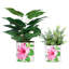 Pot Planter