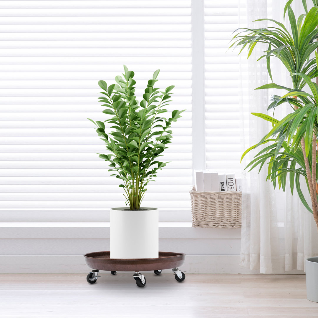 Priyaa Round Floor Plant Stand (Set of 2) Arlmont & Co. 