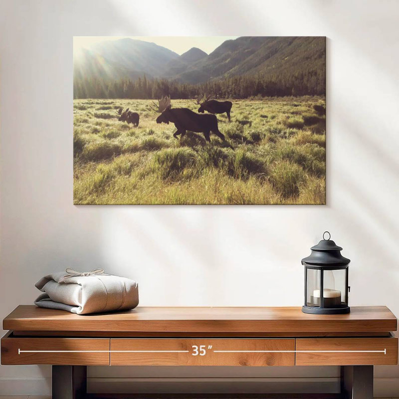 Brampt Three Bull Moose