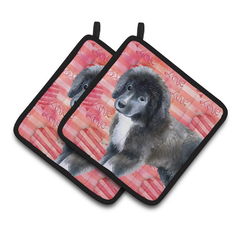 Cuisinier poignée love chiot caroline de terre-neuve