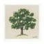 Oak Tree Print-2139906755