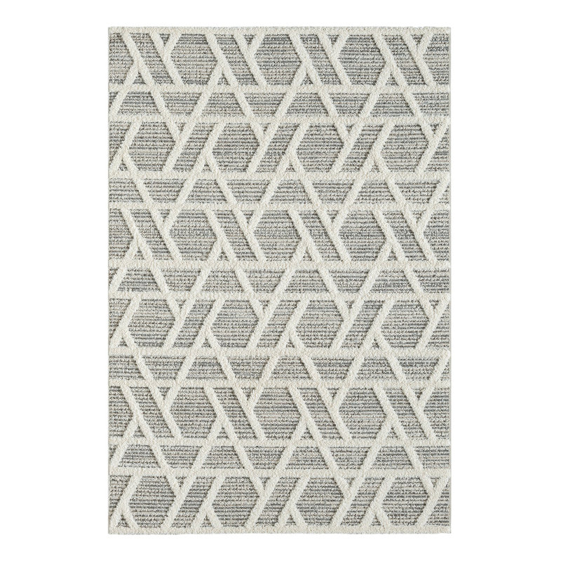 Phin Clear Area Rug, Rectangle 200 x 290cm
