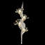 Azu 4 - Light Armed Sconce-59722326