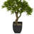 37'' Faux Foliage Tree in Planter-187336081