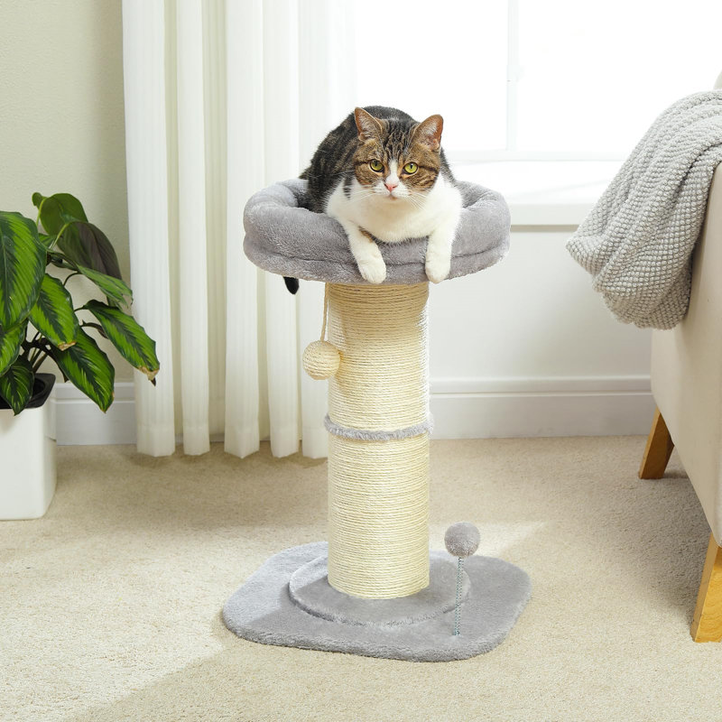 Scratching Post, Grey