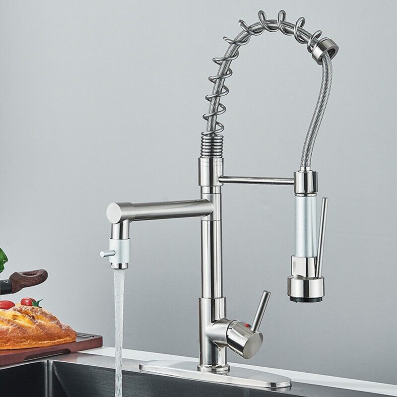Belfry Kitchen Cyron Pull Out Kitchen Faucet