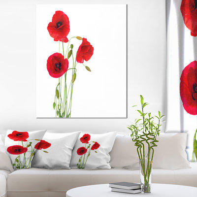 «Isolé rouge coquelicot», impression