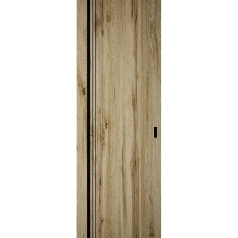 Grange cachée | Planum 0011 | Portes robustes à finition robuste et modernes | Ensemble coulissant Magic, 24 po x 84 po