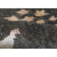 Tapis brun noué à la main de haute qualité