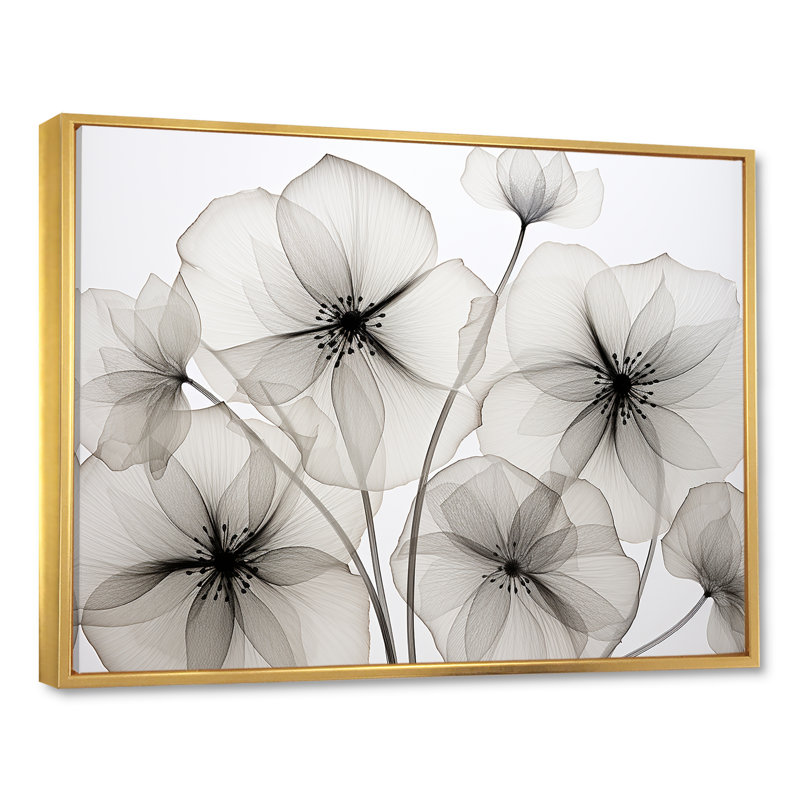 «Black and White Morning Glory Speed - Morning Glory», reproduction d'art sur toile, Cadre flottant doré