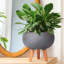 Concrete Effect Bowl Planter on Hardwood Legs, Round Indoor Plant Pot Stand for Indoor Plants, Shallow Planter with Honeycomb Pattern-1232425386-1232425387