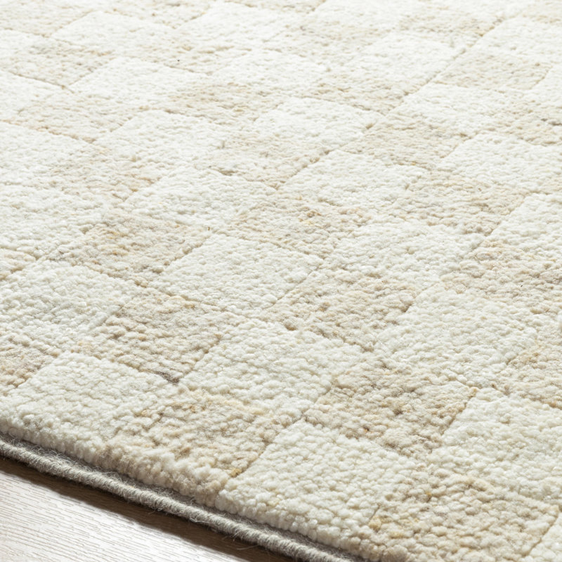 Davey Wool Checkered Area Rug, Rectangle 10' x 14'